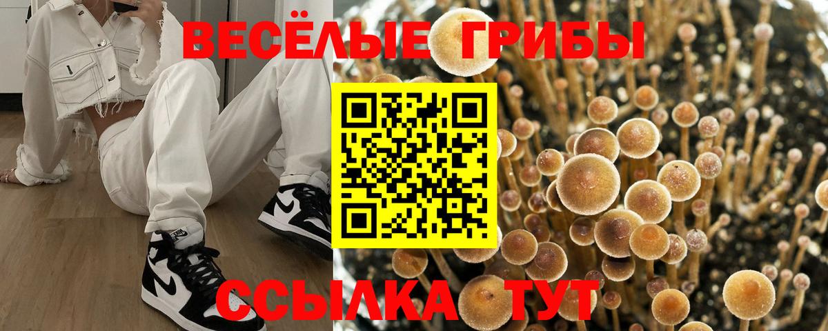 Псилоцибиновые грибы GOLDEN TEACHER Сызрань