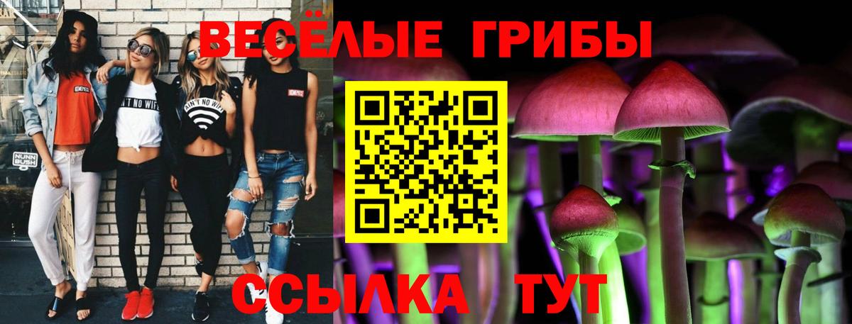 Сызрань  Псилоцибиновые грибы GOLDEN TEACHER  Вход с VPN 